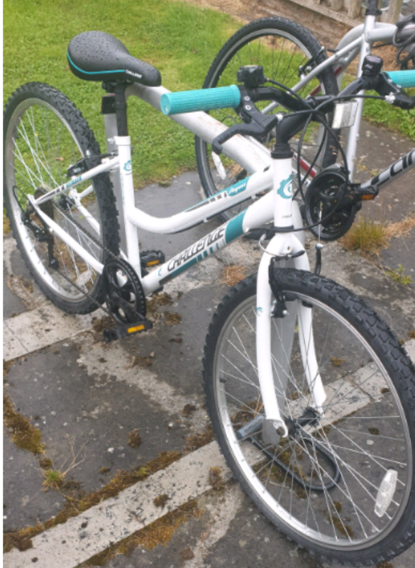 challenge regent 26 inch female